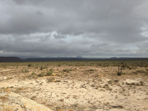 from-the-transpeninsular